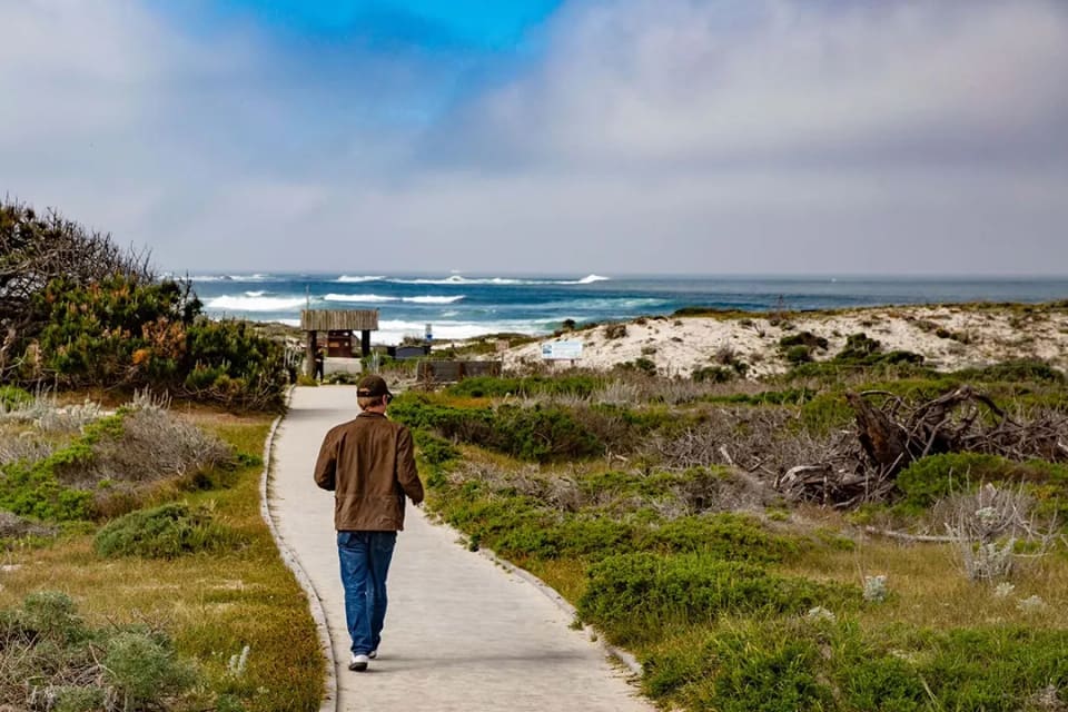 Asilomar dunes at sunset